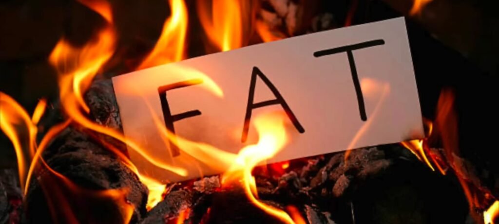 What's the best exercise to lose belly fat