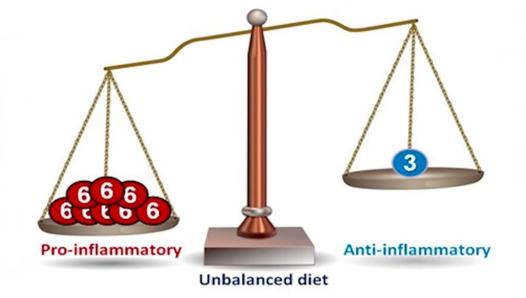 Carnivore Diet Plan